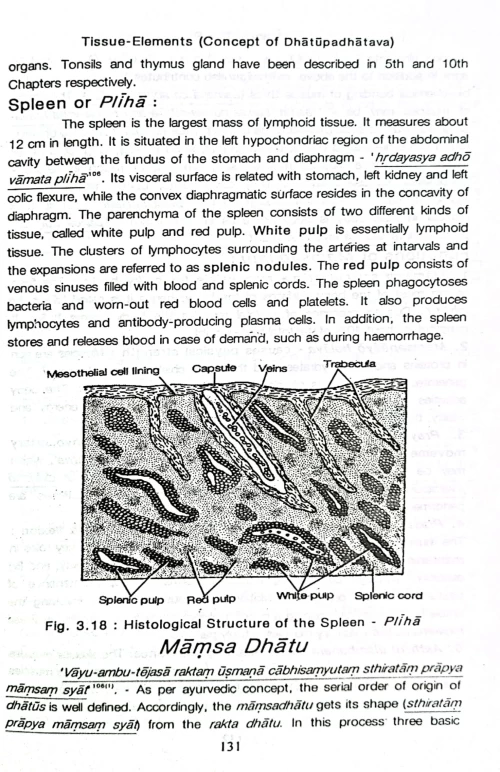 Essentials Of Shariram